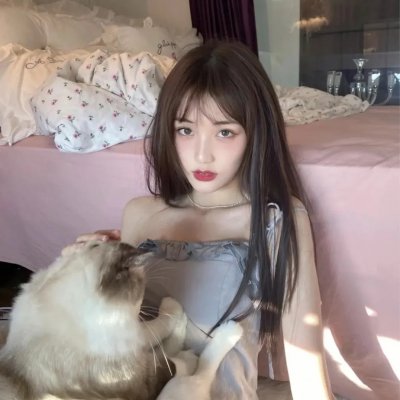 狐狸捕手
